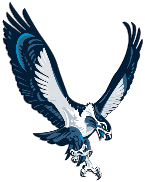 Seattle Seahawks 2002-2011 Alternate Logo iron on transfers for T-shirts